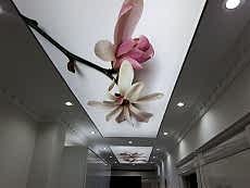 Al��pan I��k band� gergi Tavan