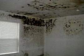 Tavandaki sar� is lekesi nas�l kapat�l�r?